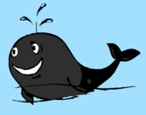 Coloring page Happy whale painted byguarda  diujo
