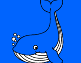 Coloring page Little whale painted byOliver A