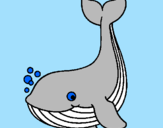 Coloring page Little whale painted bycharlotte