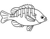 Coloring page Fish painted byanonymous