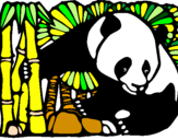 Coloring page Panda and bamboo painted byVal