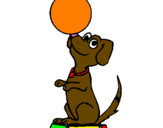 Coloring page Circus dog painted byRutuja