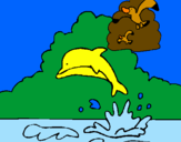 Coloring page Dolphin and seagull painted byn%uFFFDr%uFFFD