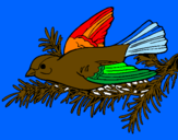 Coloring page Swallow painted bybrad
