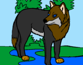 Coloring page Wolf painted bypom-pom,flufy,