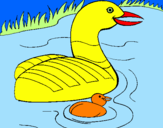 Coloring page Mother goose and gosling painted byGÁBOR