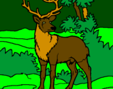 Coloring page Adult deer painted byDucky The Duck