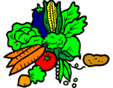 Coloring page vegetables painted bycar