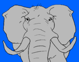 Coloring page African elephant painted bythis is ruby bjkkkl