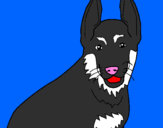 Coloring page Dog painted bylolita