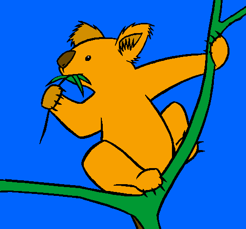 Coloring page Koala painted byhash