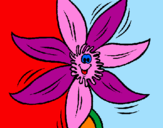 Coloring page Flower painted bytany