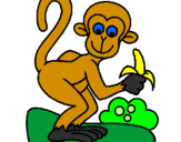 Coloring page Monkey painted byanna