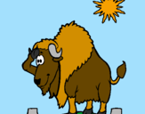 Coloring page Bison in desert painted bycilla