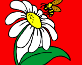 Coloring page Daisy with bee painted byzully