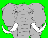 Coloring page African elephant painted byL.J.