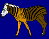 Coloring page Zebra painted bymarty  townsend
