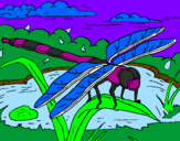 Coloring page Dragonfly painted bymaria