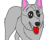Coloring page Alsatian dog painted byanna