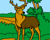 Coloring page Adult deer painted bykendall