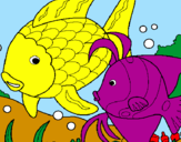 Coloring page Fish painted bydani