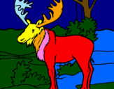 Coloring page Moose painted byesujs