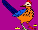 Coloring page Roadrunner painted byethan