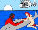 Coloring page Whale rescue painted byjosh