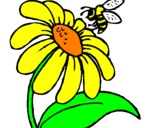 Coloring page Daisy with bee painted bycaroline