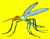 Coloring page Mosquito painted byJayde
