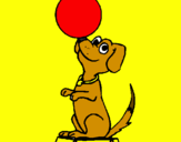 Coloring page Circus dog painted byL.J.
