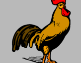 Coloring page Gallant cock painted byIratxe
