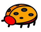 Coloring page Ladybird painted byberat