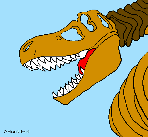 Tyrannosaurus Rex skeleton