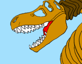 Coloring page Tyrannosaurus Rex skeleton painted byanonymous