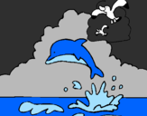 Coloring page Dolphin and seagull painted bynightime swim