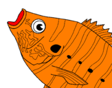 Coloring page Fish painted byguarda  diujo