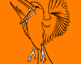 Coloring page Unruly bird painted bycamille24