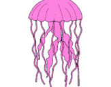 Coloring page Jellyfish painted byIvy