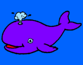Coloring page Whale shooting out water painted byrodolfo