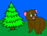 Coloring page Bear and fir tree painted bymines