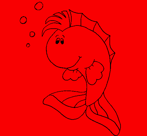 Punky fish