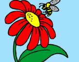 Coloring page Daisy with bee painted bydani