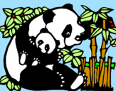 Coloring page Panda mother painted byIratxe