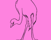 Coloring page Ostrich painted bycamille25