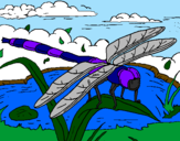 Coloring page Dragonfly painted byWyatt