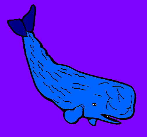 Large whale