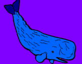 Coloring page Large whale painted bywilliam mcfadyen