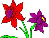 Coloring page Orchid painted byariana