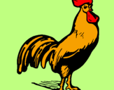 Coloring page Gallant cock painted byMarga